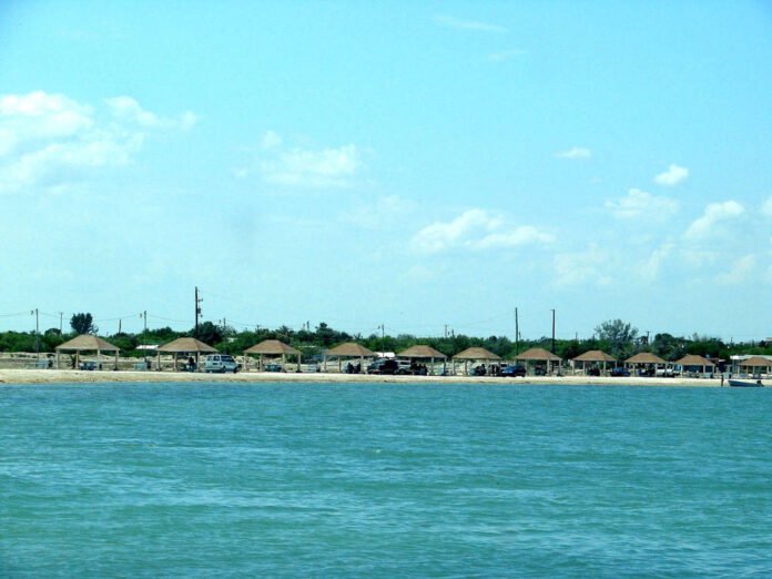 arton1586.jpg
