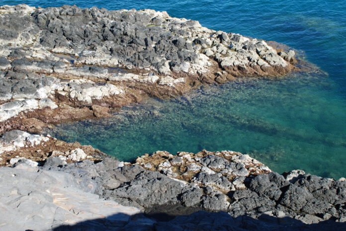 punta-chivato