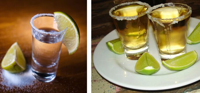 ruta-del-tequila