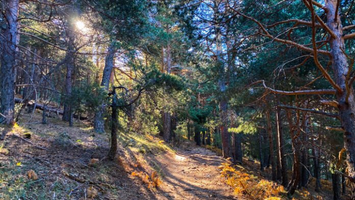 Cercedilla: naturaleza en estado puro cerca de Madrid capital