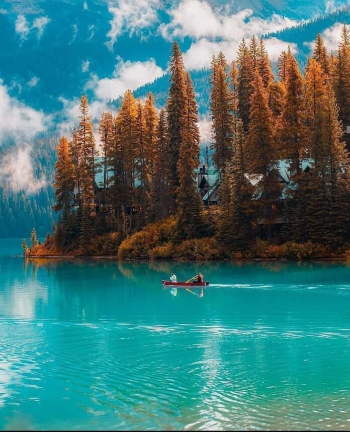 Los bosques más grandes y bonitos del mundo