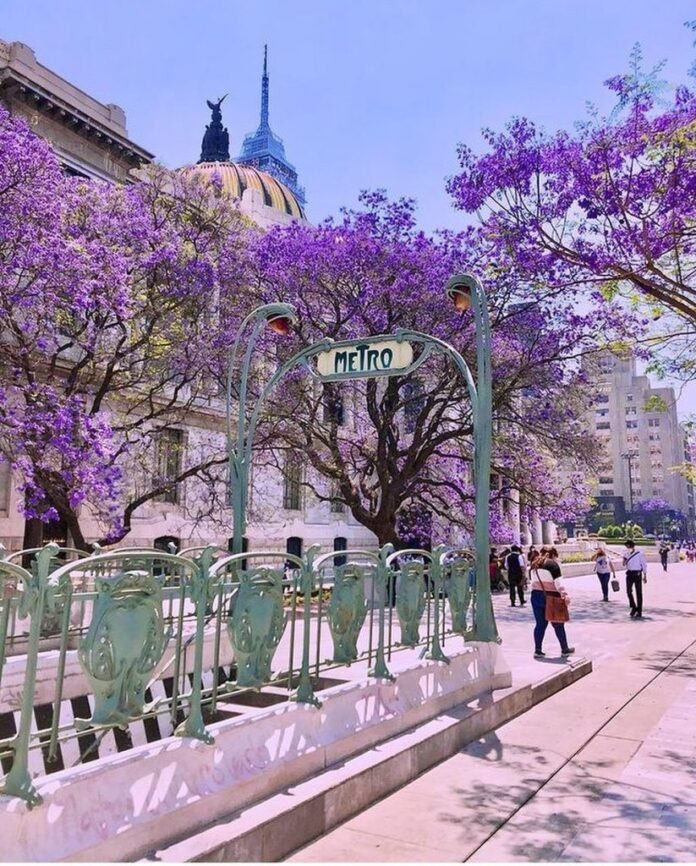 Rituales para recibir el equinoccio de primavera