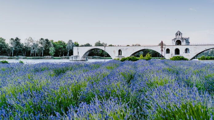La Provenza francesa: un lugar con historia con aroma de